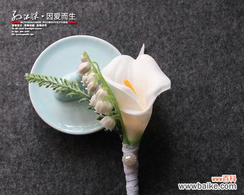 探索黑色马蹄莲的美丽花语 黑色马蹄莲的神秘之花