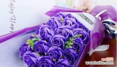 紫色玫瑰代表什么花语？紫色玫瑰花语的含义是什么？