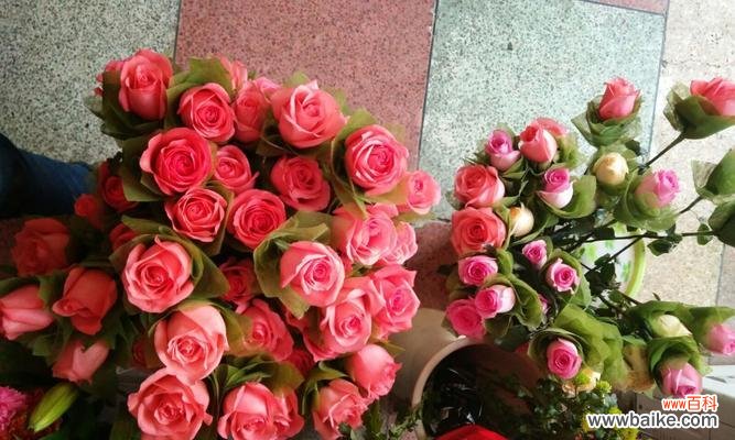 红色花瓣透露出的七种情感 七朵玫瑰的象征意义