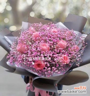 探寻这朵美丽花卉背后的涵义 解读粉色满天星的花语