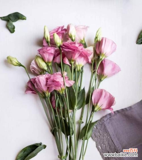 唤醒内心的美好，洋桔梗带来心灵的愉悦 洋桔梗花语——纯洁的白色之美