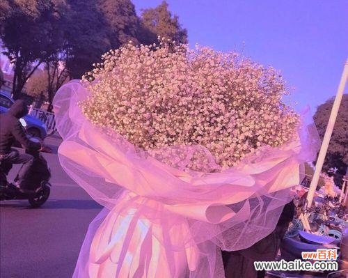 探寻满天星花语的深层内涵及传承文化 满天星花的特殊含义与象征意义