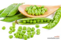 阳台豌豆的种植方法