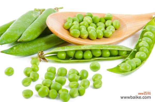 阳台豌豆的种植方法