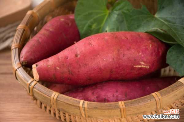 地瓜做成的盆景原来这么美