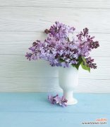 紫薇花怎么制作盆景