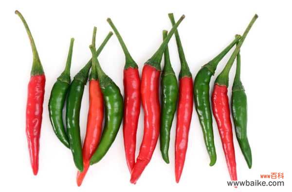 阳台上怎么种辣椒