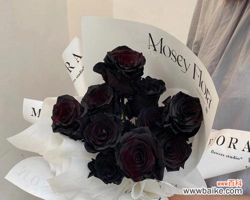 透过黑色玫瑰花 黑色玫瑰花