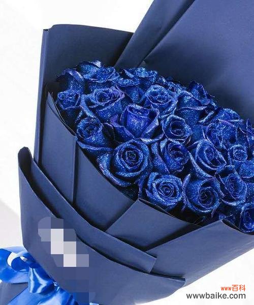 探寻花朵背后的深意,了解不同情境下冰蓝色玫瑰的花语 解析冰蓝色玫瑰的花语