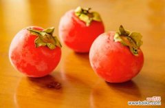 柿子上的白点是什么，怎么治疗