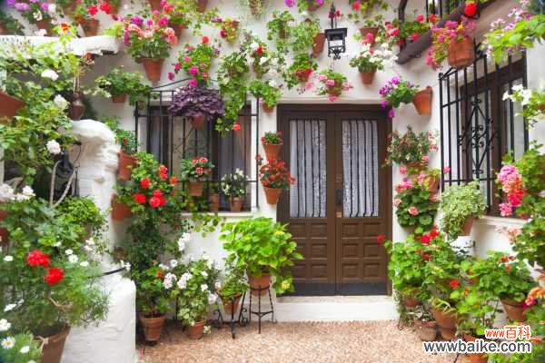 这些小东西不赶紧杀，一夜把花全啃成猪头，肠子都要悔青了！