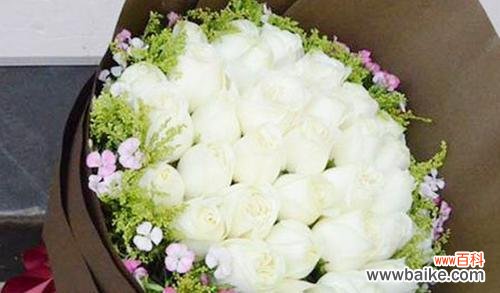 红玫瑰与白玫瑰的象征意义及爱情的多样表达 红与白