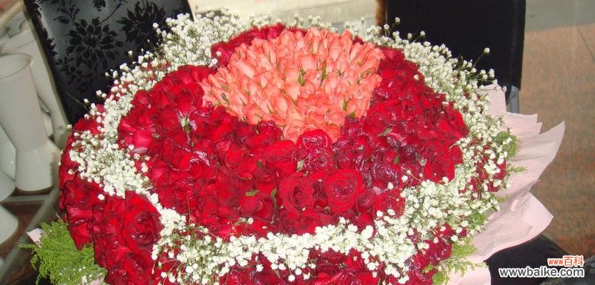 爱情的象征与表达方式 红玫瑰花语的浪漫传说