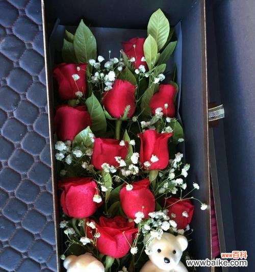 传递爱与热情的花朵 红玫瑰的含义与象征