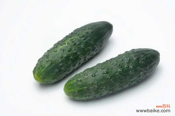 阳台黄瓜的种植方法