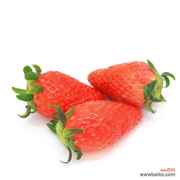 阳台草莓的种植方法