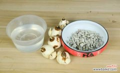 水仙适合放在室内吗