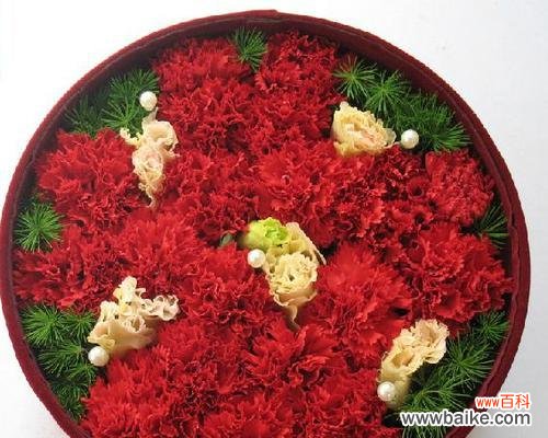 传递爱与热情的鲜花之选 红色康乃馨的意义与象征