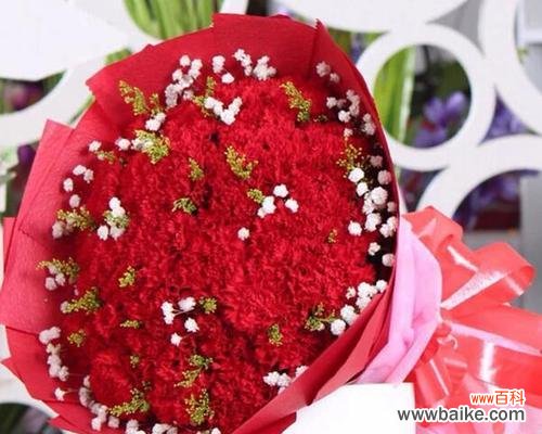 表达热情与爱意的红色康乃馨 红色康乃馨的花语和寓意