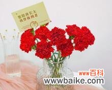 恒久不灭的情感 红色康乃馨