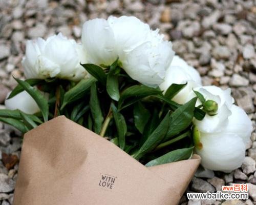 白玫瑰的花语是什么？赠送白玫瑰代表什么含义？