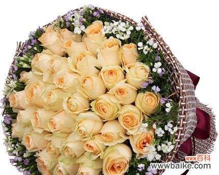 探寻21朵香槟玫瑰所蕴含的爱情语言 21朵香槟玫瑰的花语