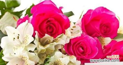 解析玫瑰花的深层含义 玫瑰的含义与象征