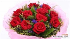 以花语比较虐心的花种 花海中的虐心之花