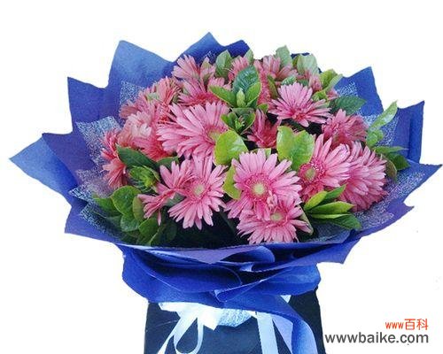 粉色扶郎花代表什么?它的花语和寓意有哪些?