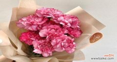 粉色康乃馨代表什么含义？花语背后的寓意是什么？