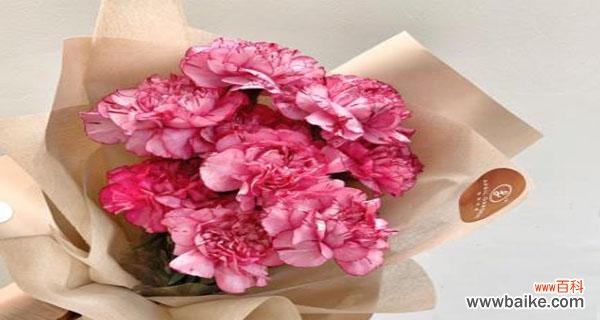 粉色康乃馨代表什么含义？花语背后的寓意是什么？