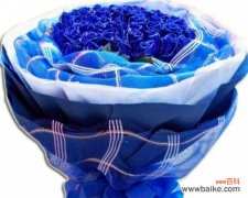 蓝色花海中的奇迹，蓝玫瑰的象征、蓝色的力量 蓝色的绚烂-解读蓝玫瑰的意义