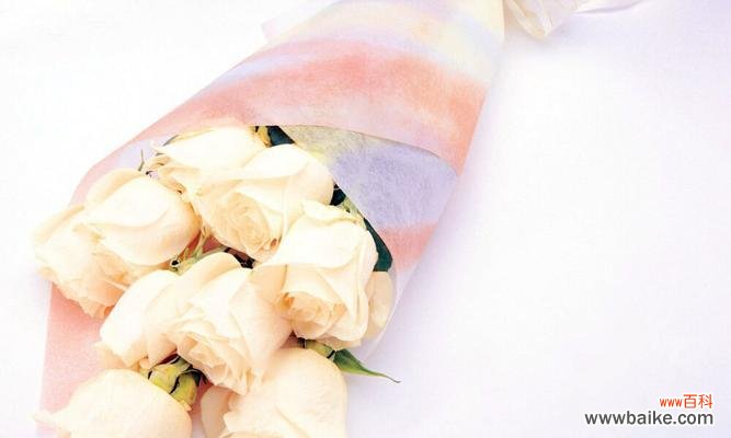 十一朵香槟玫瑰代表的含义及象征 香槟玫瑰的花语