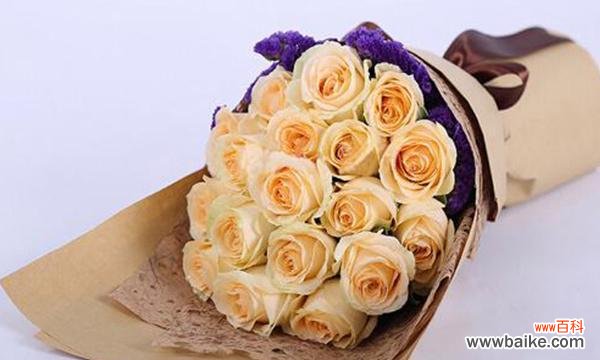 十一朵香槟玫瑰代表的含义及象征 香槟玫瑰的花语