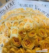 用黄玫瑰传递温暖与快乐的力量 黄玫瑰代表的寓意——阳光与友谊