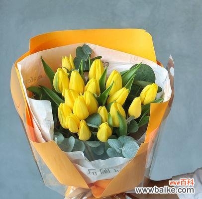 送花更要送心意，这些小技巧帮你选对鲜花 如何选择适合闺蜜的生日鲜花