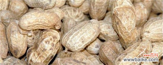 花生几个月成熟？花生的种植时间成熟周期