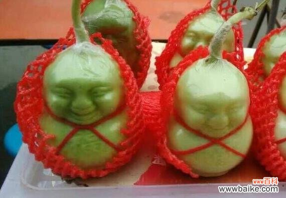 人参果为什么长得像人?人参果娃可以直接吃吗