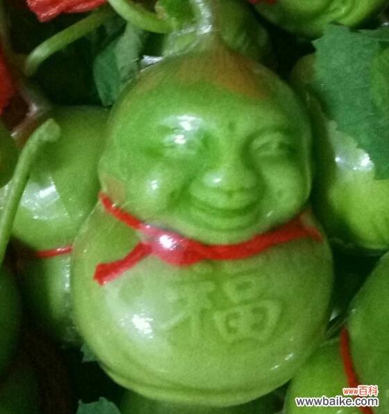 人参果为什么长得像人?人参果娃可以直接吃吗