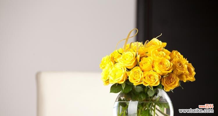 探寻黄玫瑰的象征意义及美丽之处 黄玫瑰的花语与寓意