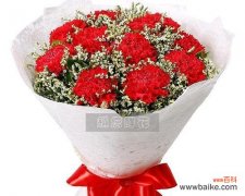 红色康乃馨代表什么？红色康乃馨的花语有哪些含义？