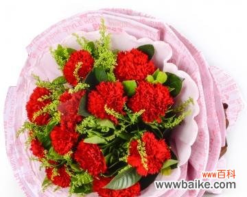 红色康乃馨代表什么？红色康乃馨的花语有哪些含义？