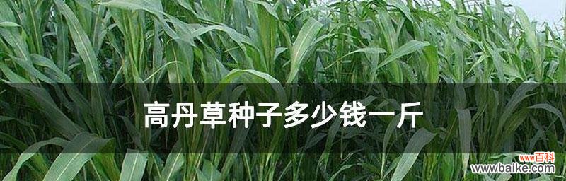 打造高产高效的高丹草种植园 高丹草种植全攻略