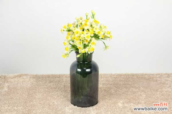 水仙花能放室内吗，在家怎么养？