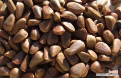 生松子怎么炒开口