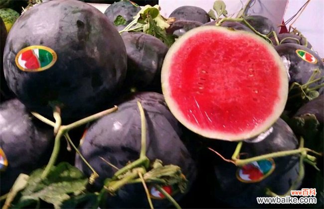 如何提高无籽西瓜坐果率