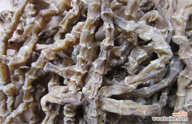 中药材地参多少钱一斤