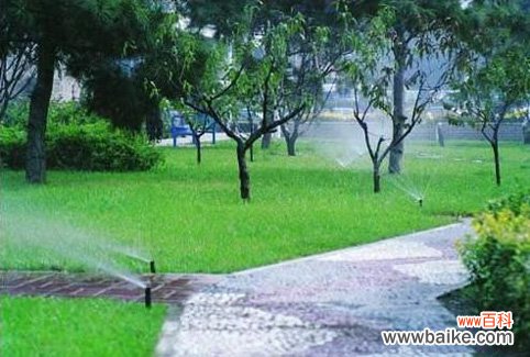 一级绿化养护标准人员配置以及工作细则有哪些