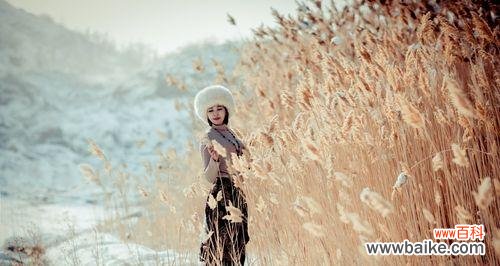 芦苇的花语是什么?了解芦苇的象征意义和用途?