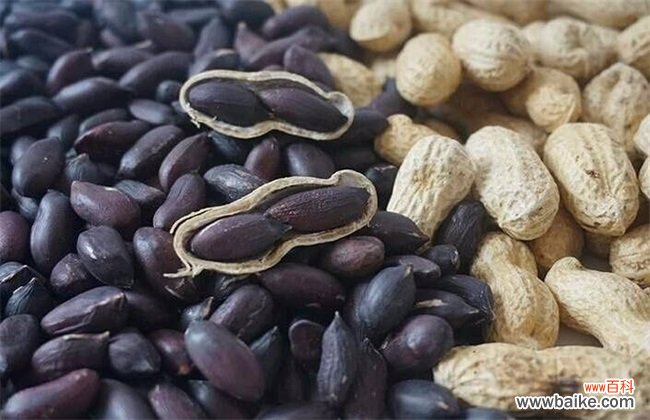 黑花生产地在哪里